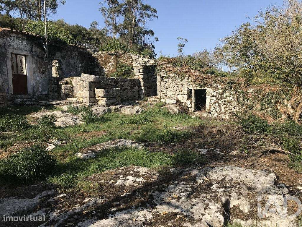 Quinta T2 em Serro Ventoso de 189,00 m2 - Grande imagem: 3/26