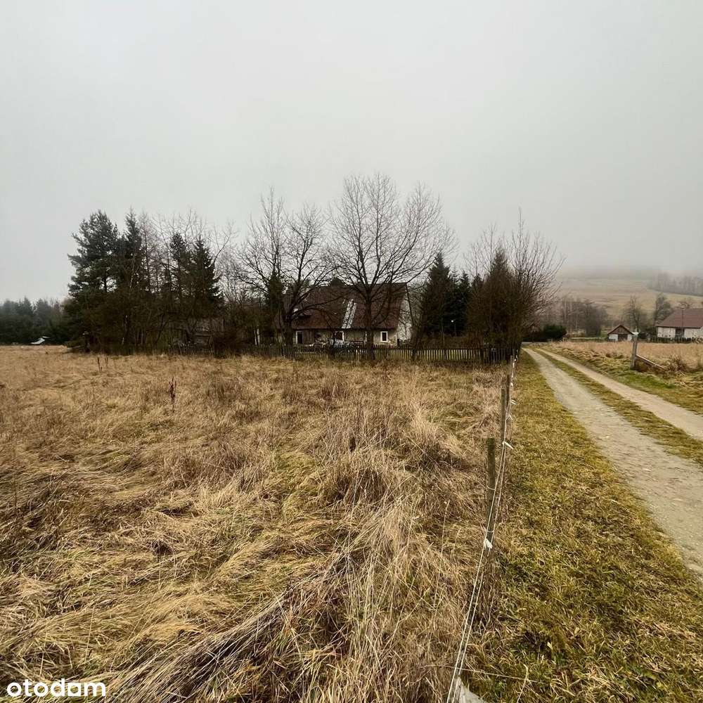 Dom -zaledwie 20 minut od Sky Bridge 721 najdłuższego na świecie mostu - Pełny obrazek: 2/10