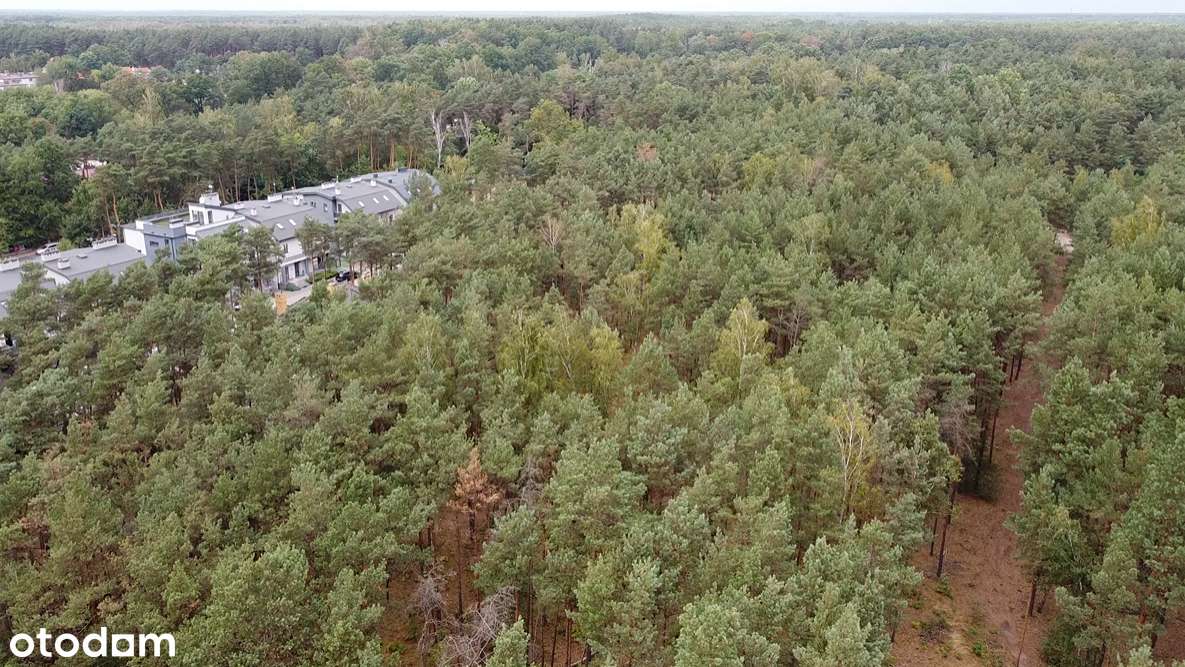 GRUNT INWESTYCYJNY NA SPRZEDAŻ – WARSZAWA WESOŁA (STARA MIŁOSNA) - Pełny obrazek: 2/13