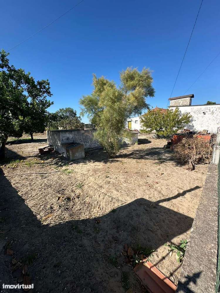 Quintinha com Moradia T2 em Foros Salvaterra-8