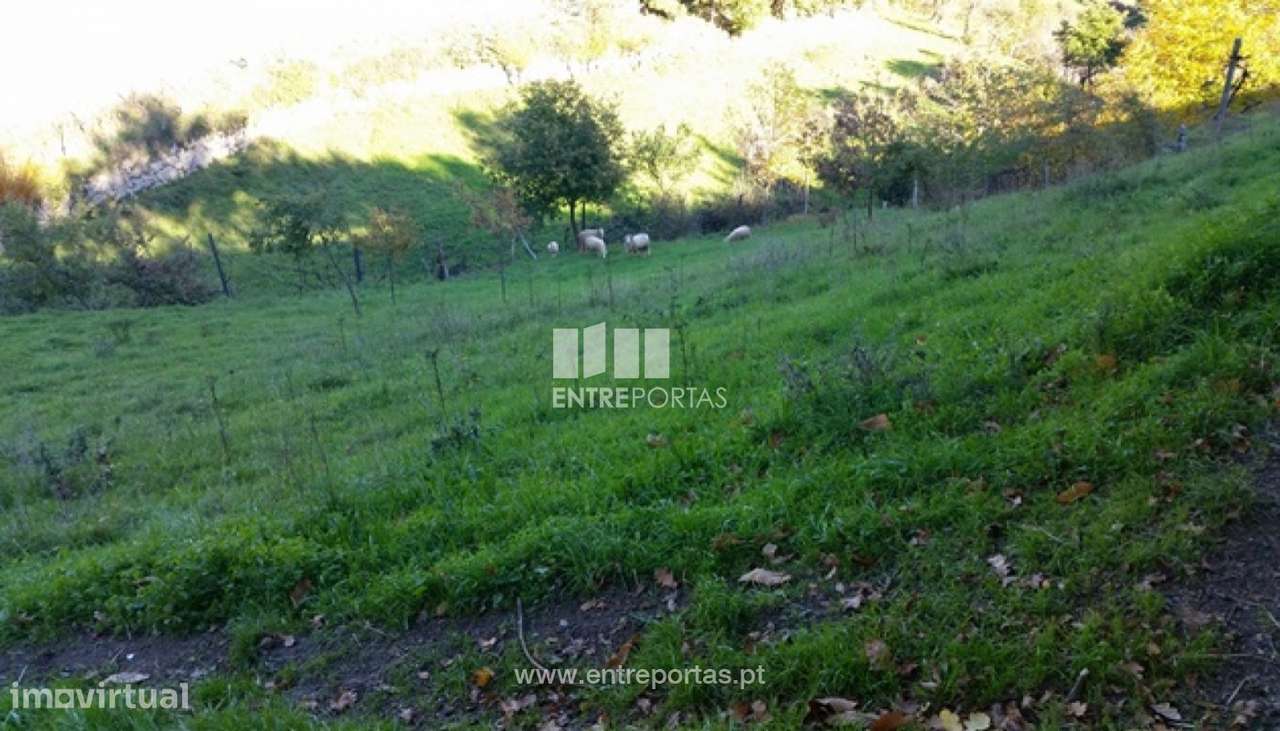 Venda Terreno, vista desafogada, Ovil, Baião - Grande imagem: 4/12