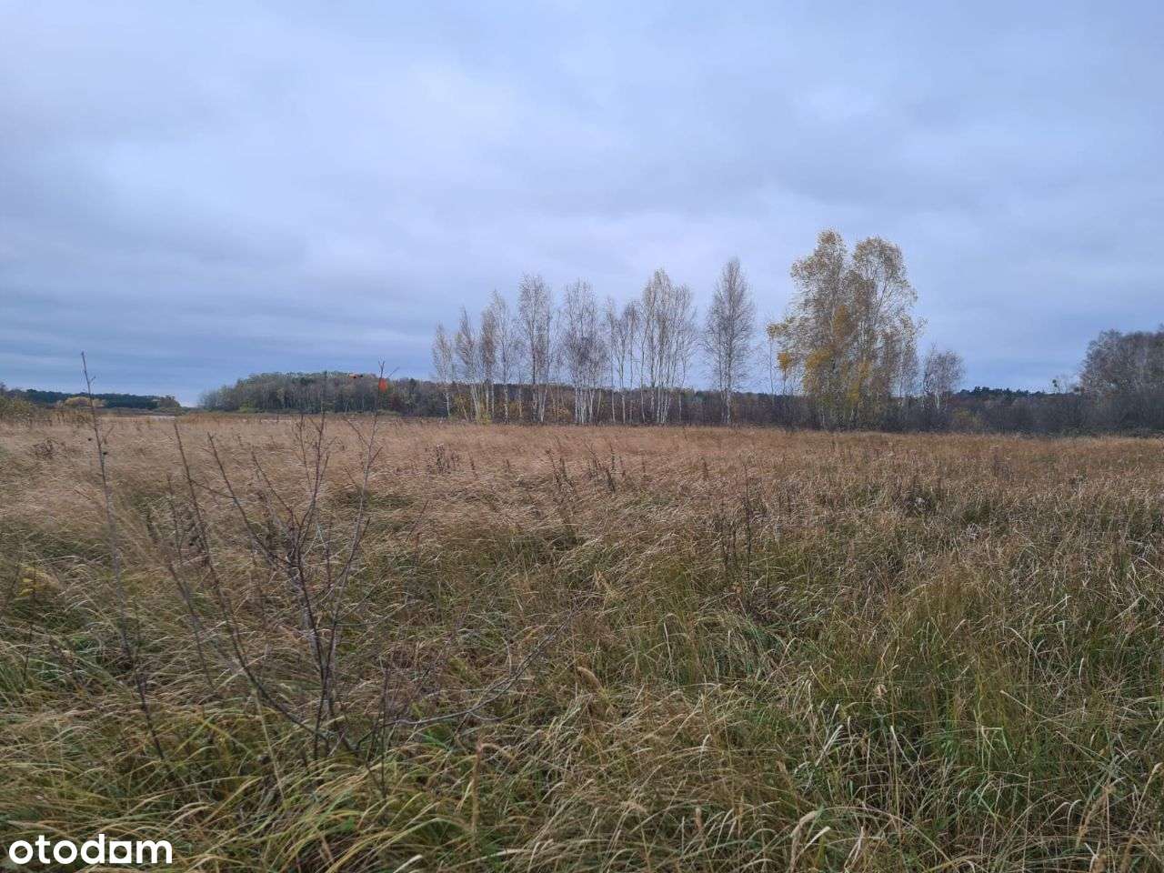 Działka budowlana nad jeziorem Będzin!-13