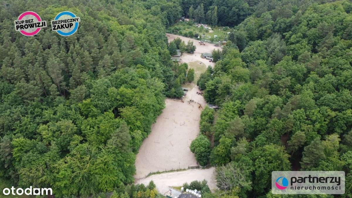 Wyjątkowy teren otoczony lasem Polana Bernadowo - Pełny obrazek: 3/8
