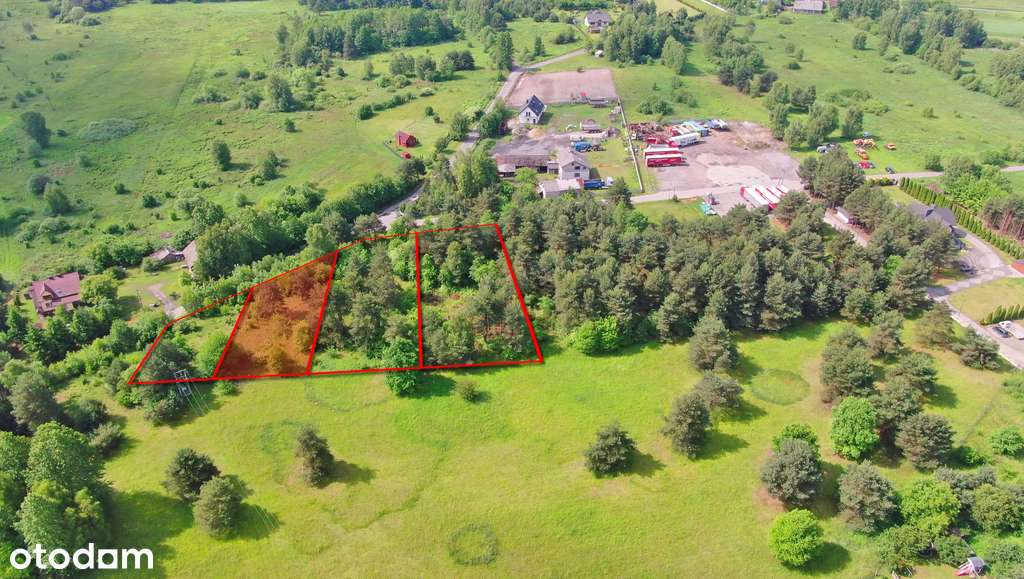 Idealna działka na wymarzony dom w otoczeniu lasu - Pełny obrazek: 4/14