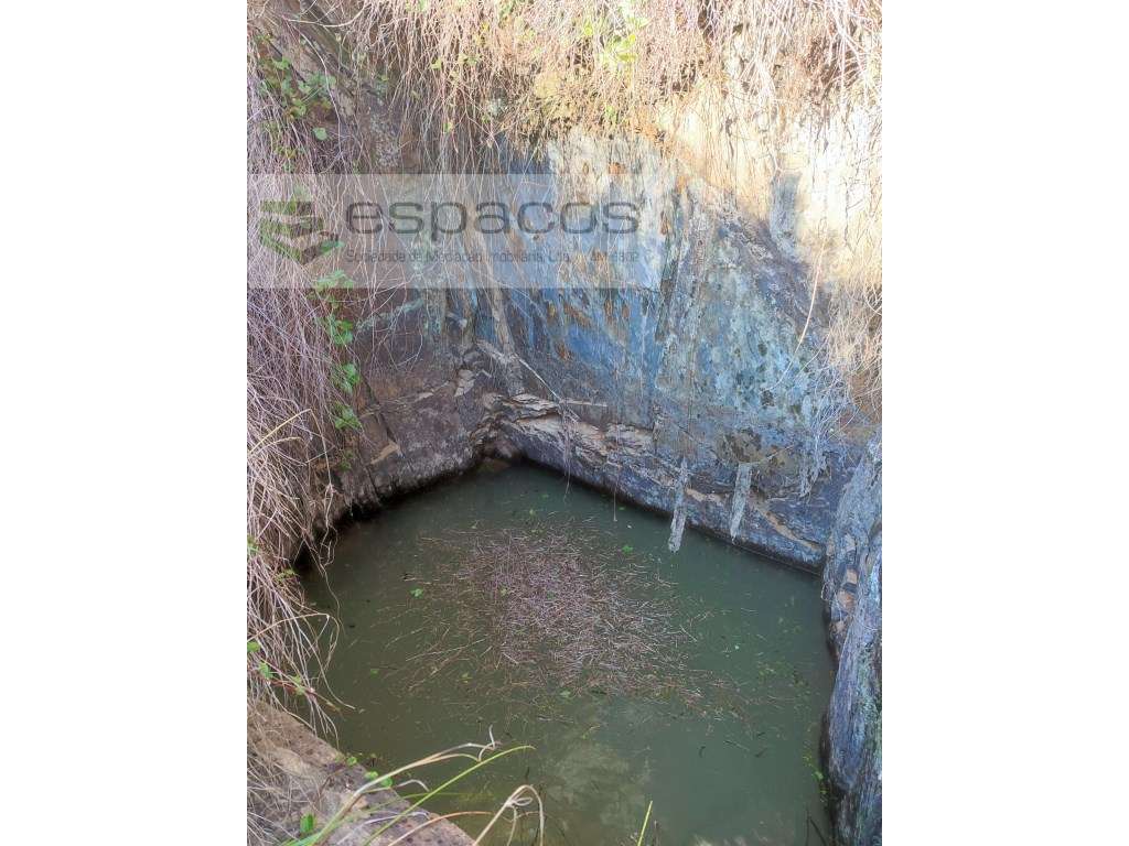 Terrenos agrícolas - Grande imagem: 3/10