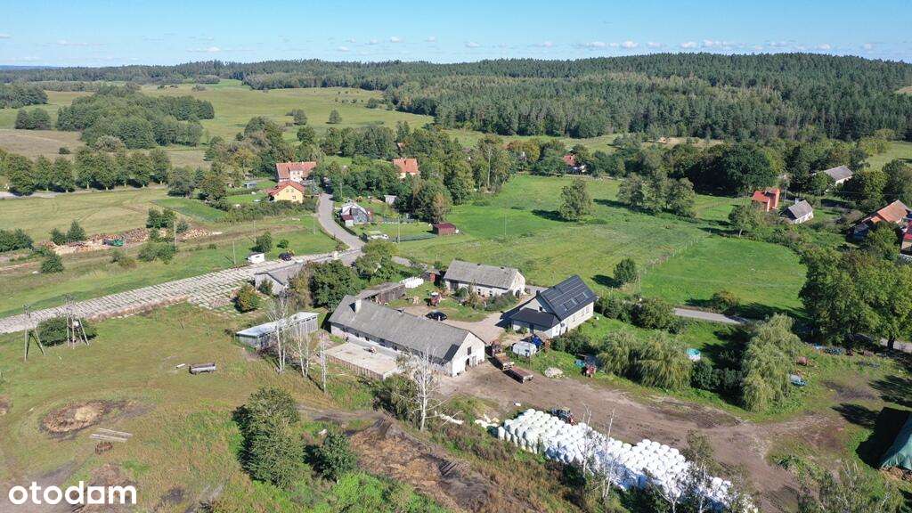 Gospodarstwo/Siedlisko 30 ha Chmielewo 15 gm Orzysz - Pełny obrazek: 4/20