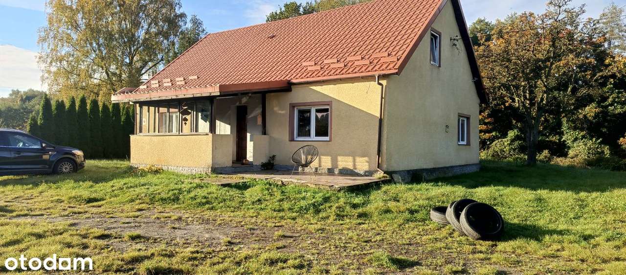 Sprzedam siedlisko 8,2 ha z zabudowaniami – Pobórze k. Rudno (Mazury) - Pełny obrazek: 4/4