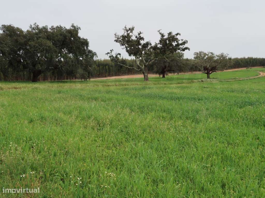 Quinta em excelente localização-20