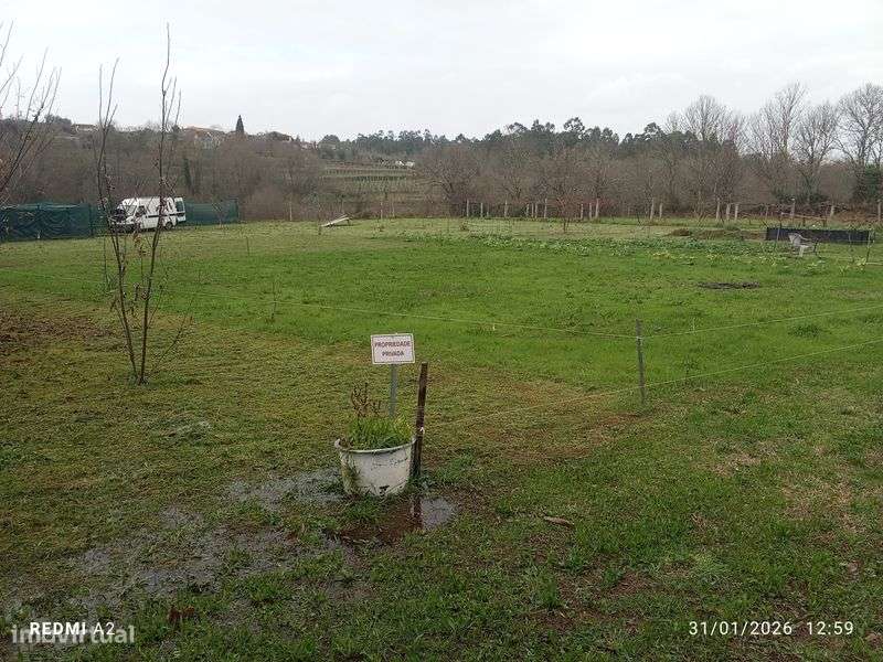 Terreno pomar 3100m2 - Grande imagem: 5/12