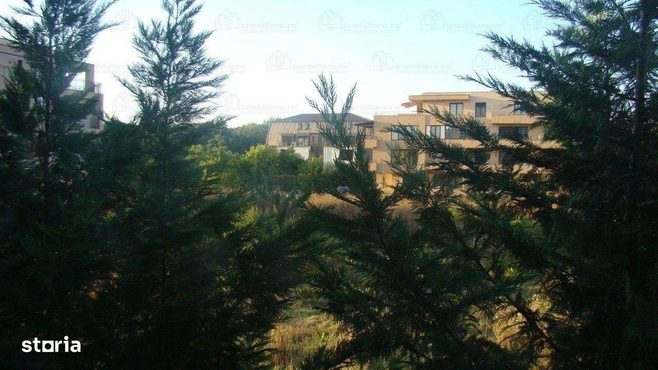 Iancu Nicolae: Apartament deosebit, cu 3 camere!-5