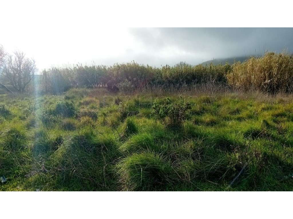 Terreno rústico com Furo de Água | Infraestruturas | Associação de ...-7
