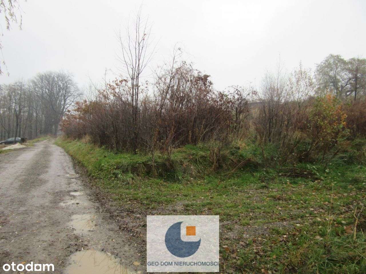 Działka z widokiem na Lasy-7