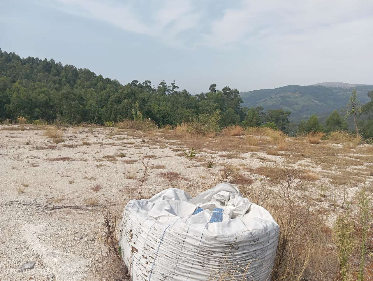 Terremo com 1 hectare em Travassós, Fafe - Grande imagem: 5/17