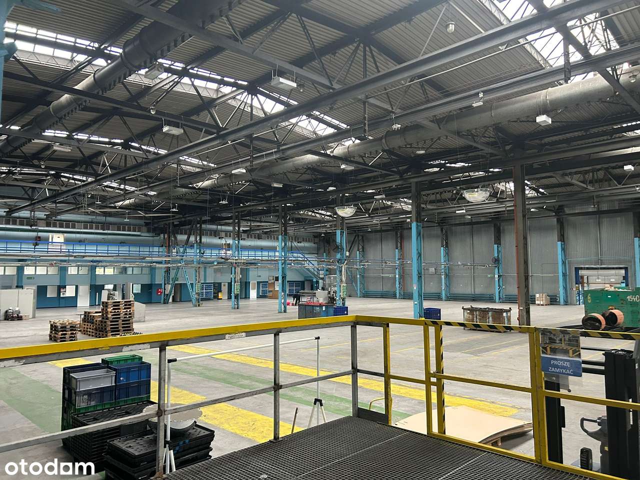 Do wynajęcia, w pełni przystosowana hala magazynowo-produkcyjna - Pełny obrazek: 5/10