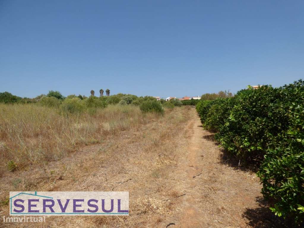 Propriedade próximo de Silves com duas casas em Pedra para reconstr... - Grande imagem: 5/28