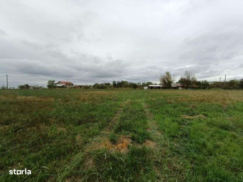 Teren intravilan 1500mp2 Comuna Stanesti Giurgiu - Imagine principală: 5/5