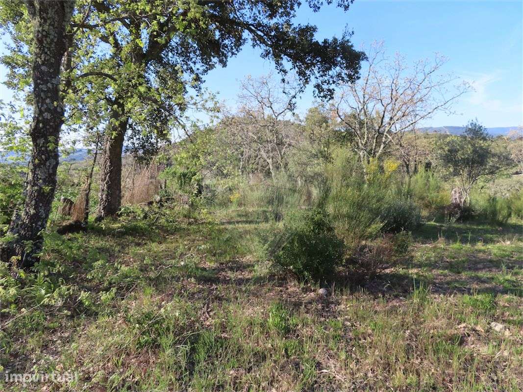 Quinta  para venda - Grande imagem: 5/22