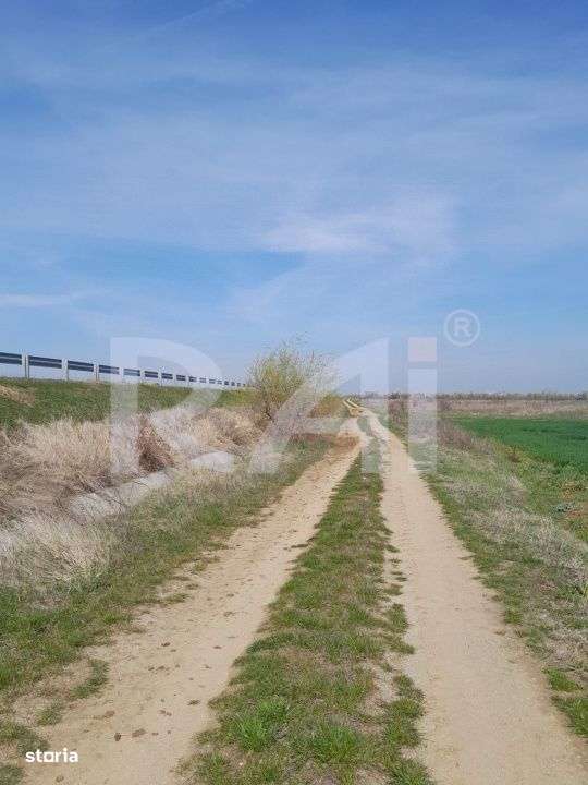 Oferta momentului! Terenuri intravilane Craiova – 11 €/mp - Imagine principală: 2/8