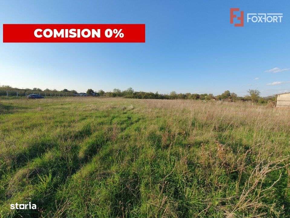 Teren intravilan de 3346 mp cu 2 fronturi - Jebel - Imagine principală: 3/8