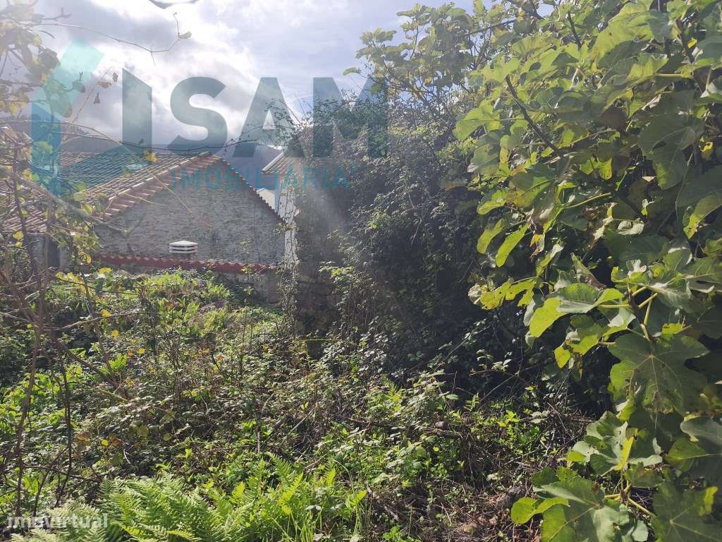 Moradia antiga com grande potencial em Conhais, Góis - Grande imagem: 5/46