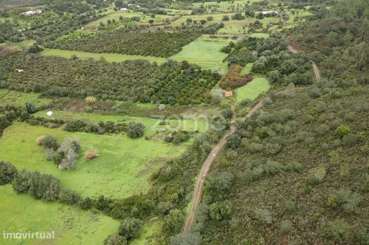 Dois Terrenos Rústicos c/ 4.680m2 em Ladeira da Cumeada - Grande imagem: 3/17