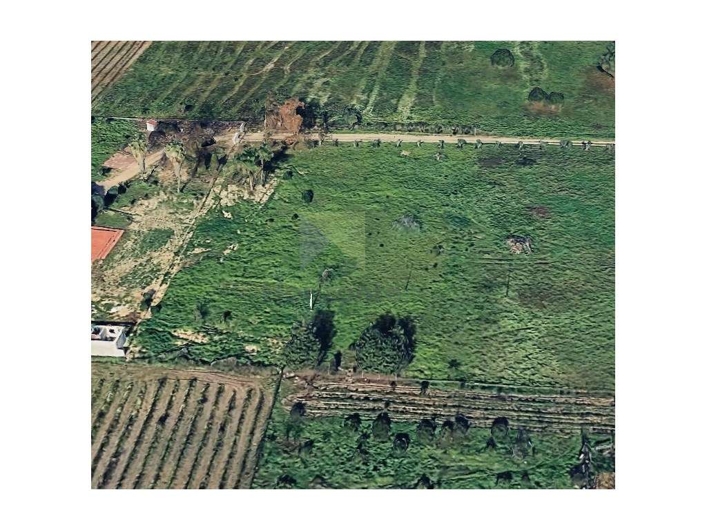 LOTE DE TERRENO COM 6000M2 - ENTRE PINHAL NOVO E PALMELA-6