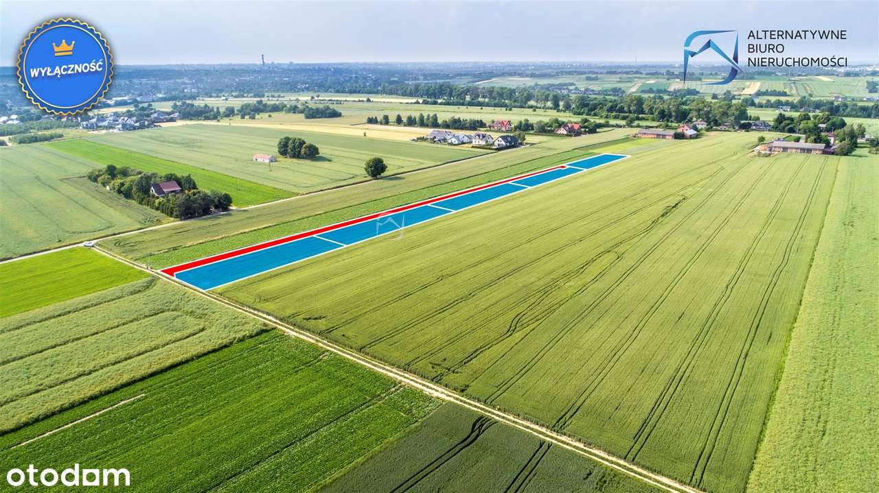 Działka budowlana w Wilczopolu - 1502 m² - Pełny obrazek: 5/20