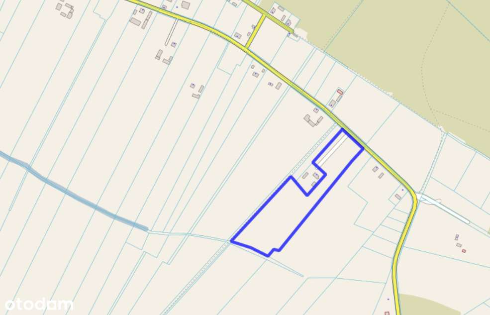 Działka rolna 3ha - Józefów - Pełny obrazek: 2/5