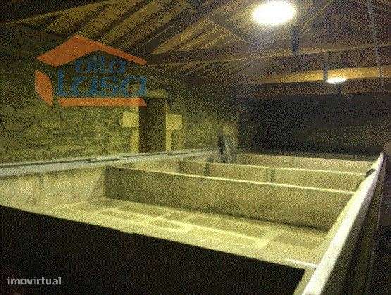 Quinta no Douro Superior 70 ha. - Grande imagem: 4/11