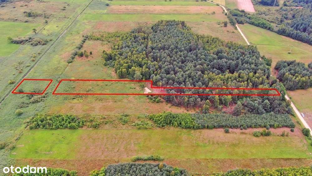 Dwie działki rolne – Rudniki k. Koniecpola - Pełny obrazek: 4/13