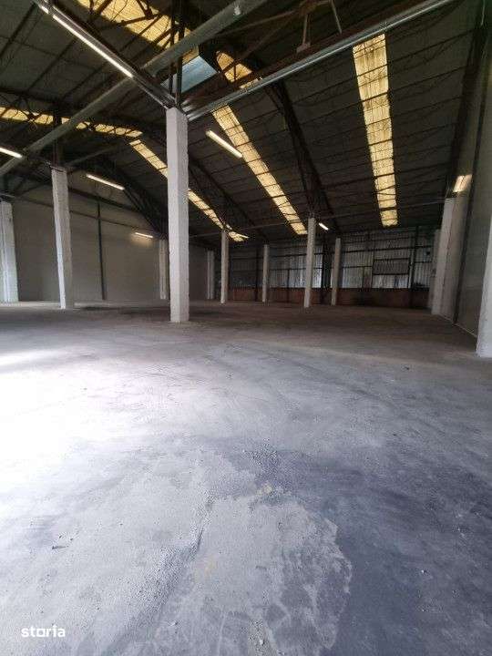 Hala de inchiriat  530MP - Imagine principală: 5/6