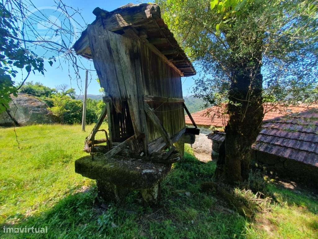 Quinta à venda para restauro em Arroteia freguesia de Rossas-14