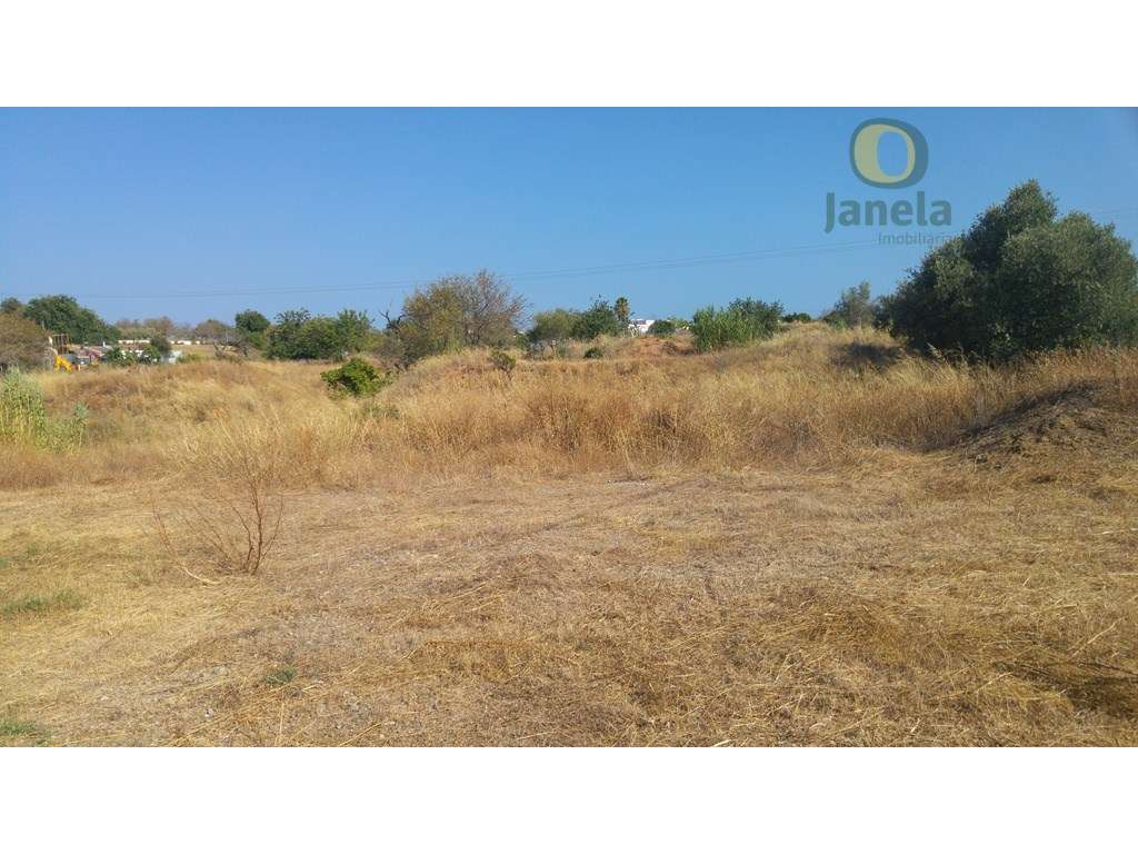 Terreno com 12000 m2, com água, eletricidade e esgotos - Grande imagem: 4/8