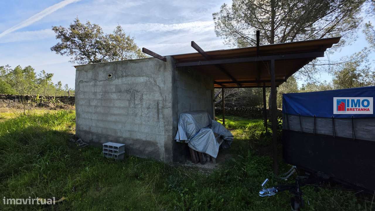 Quintinha em Benquerenças a 10 minutos de Castelo Branco - Grande imagem: 2/15