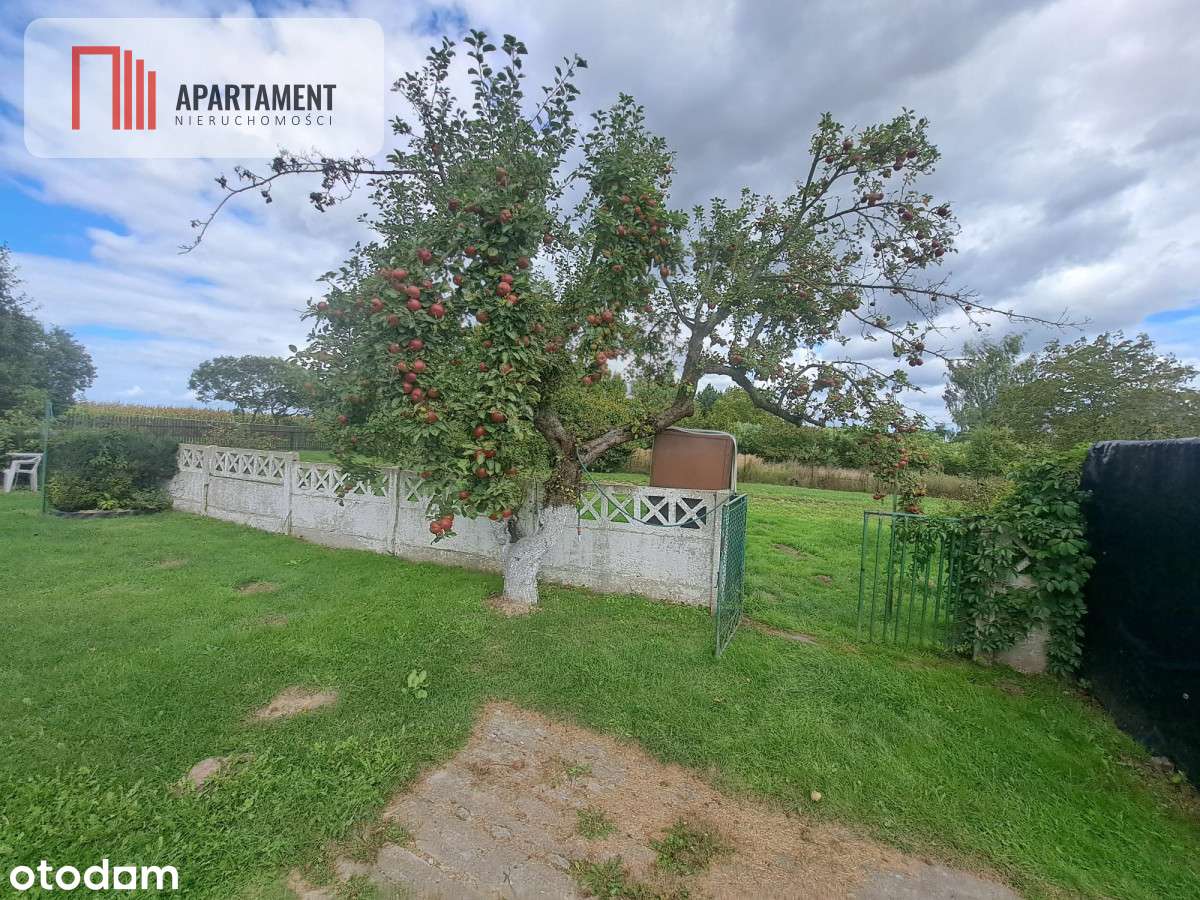 Dom z dużą działką/garaż/spokojna okolica - Pełny obrazek: 4/19