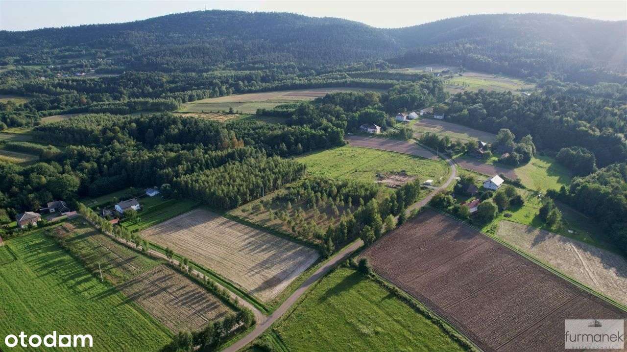 Kompleks działek 0,48 ha u podnóża góry Liwocz - Pełny obrazek: 5/20
