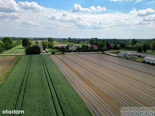 Dąbrówki 1268m2 z decyzją Wz-3