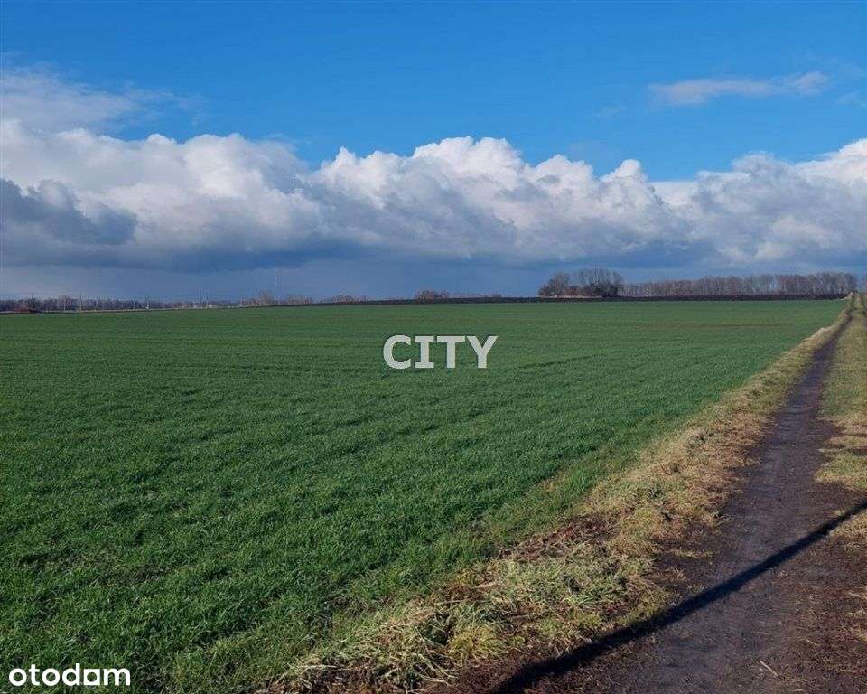 Działka, 3 000 m², Węgry-3