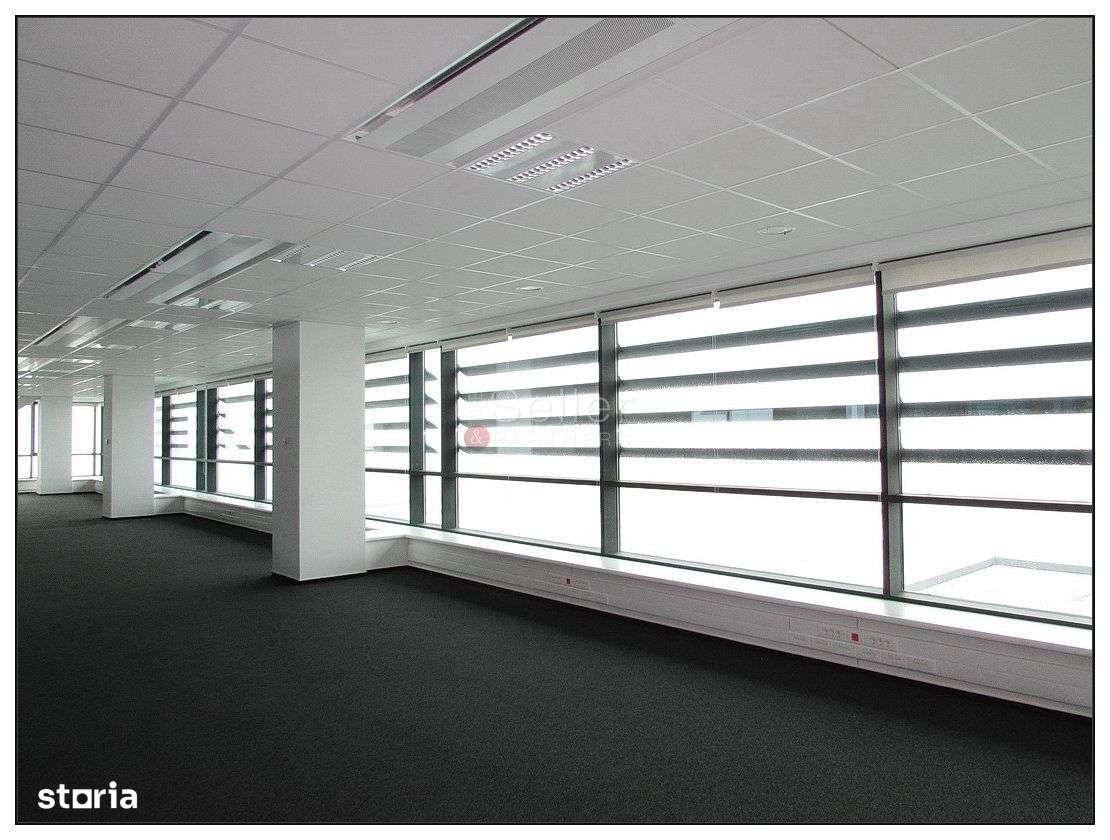 Birouri clasa A - Imagine principală: 2/11