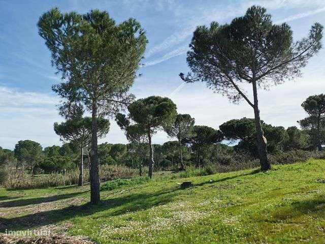 Terreno com 8.5 hectares casa para reconstruir - Grande imagem: 5/52