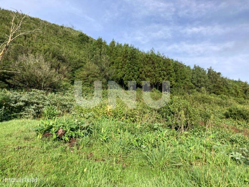 Terreno Rústico, Pico da Pedra-11