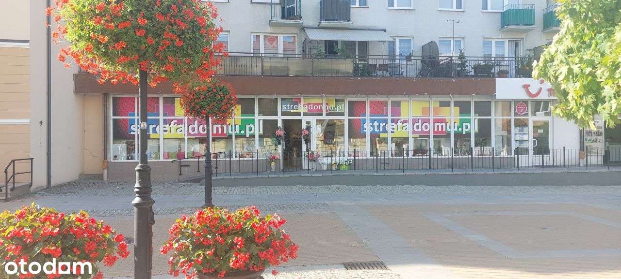 Lokal gabinet biuro kosmetyczka fryzjer g.masażu - Pełny obrazek: 3/5