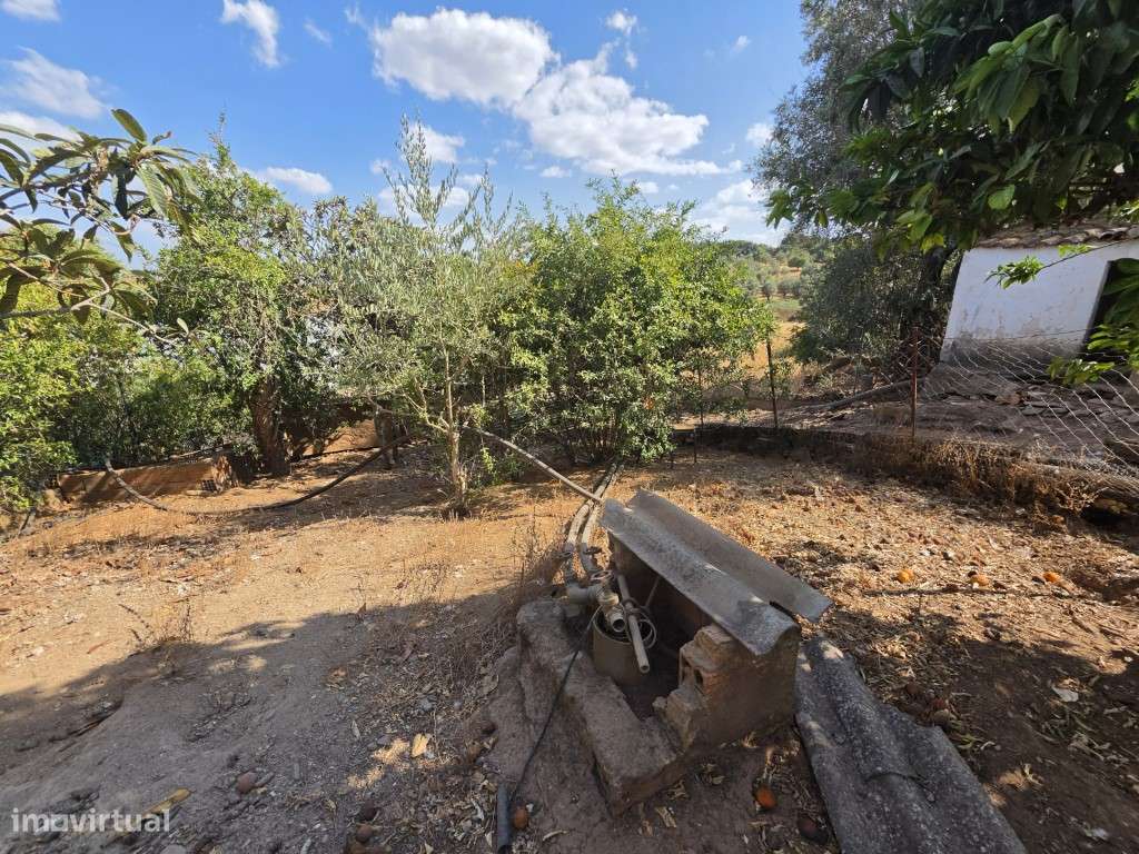 Moradia T3 em Vila Viçosa, com garagem, inserida em lote de 3500 m2-8