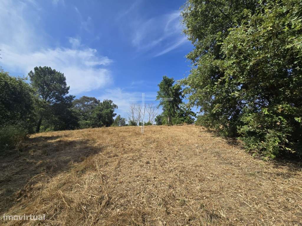 Terreno rústico com 11000m2 - Azeitão - Grande imagem: 5/14