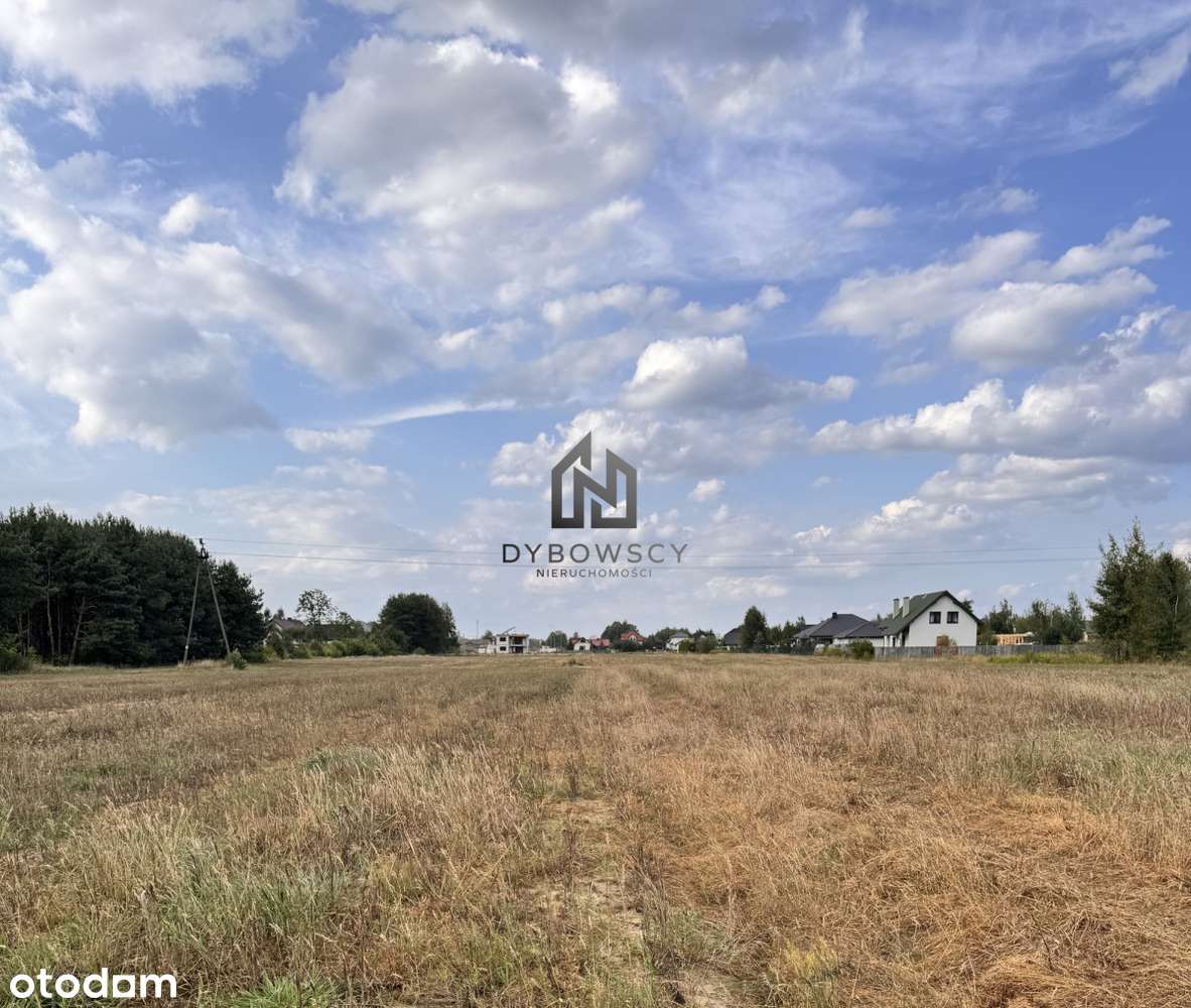 Działka budowlana 1300 m2 w Dębe Wielkie - Pełny obrazek: 5/6