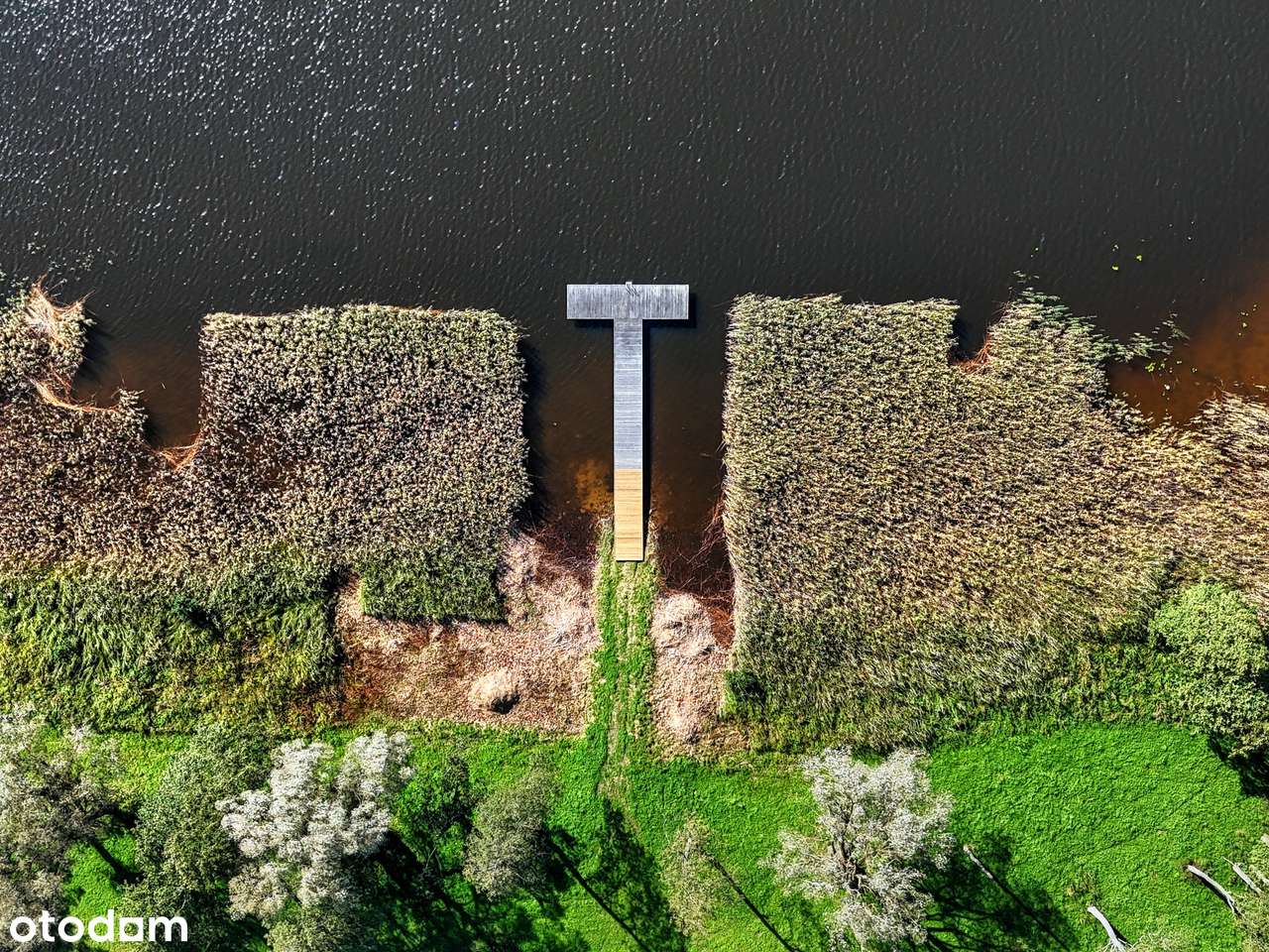 Działka budowlana z linią brzegową na szlaku WJM-15