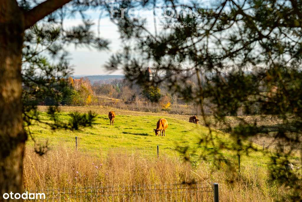 Nowy dom 2025 r. na wzgórzu | Ryn-Kolonia - Pełny obrazek: 4/20