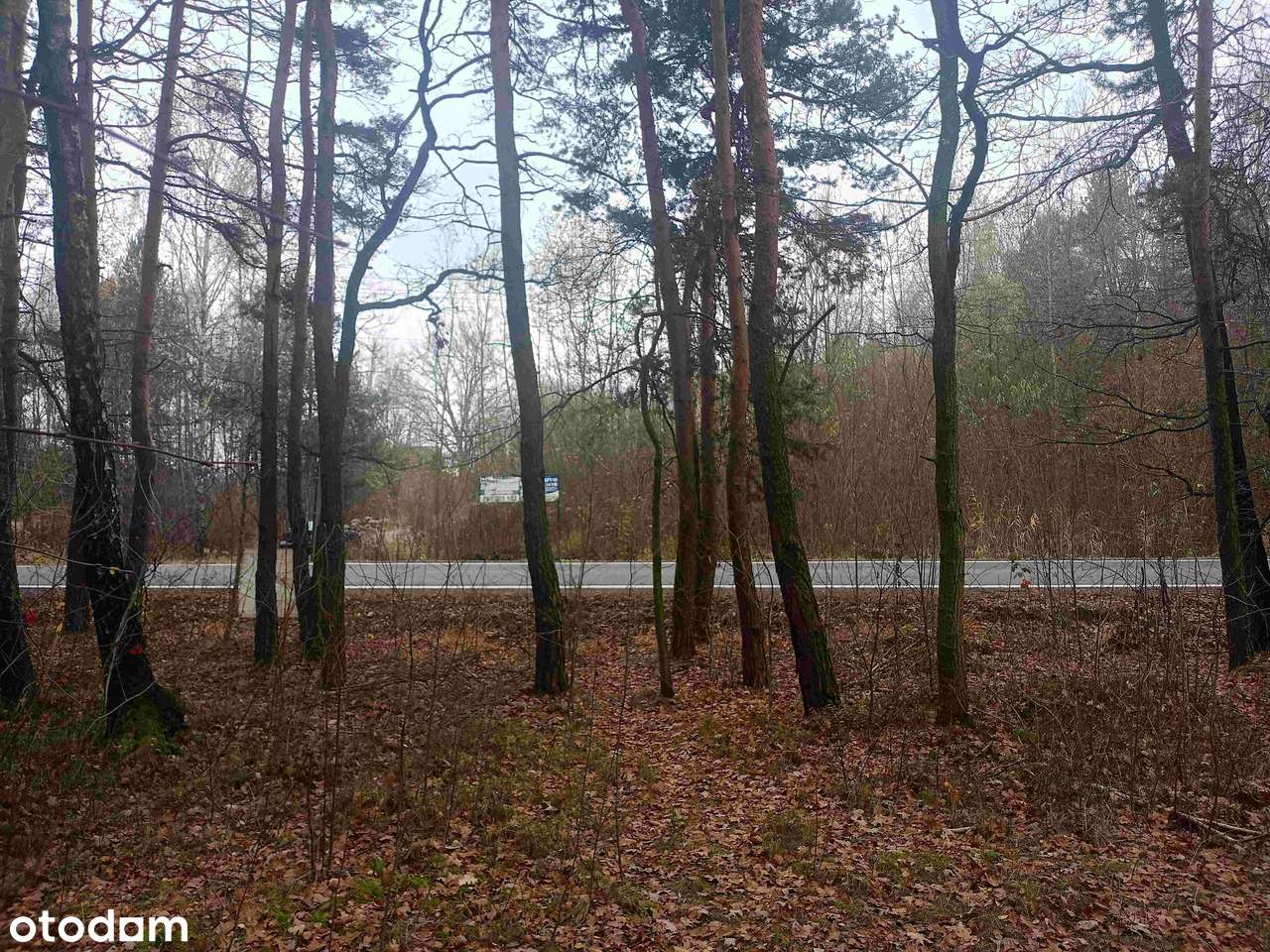 Działka usługowo-budowlana z przeznaczeniem na parking lub budowę domu-11