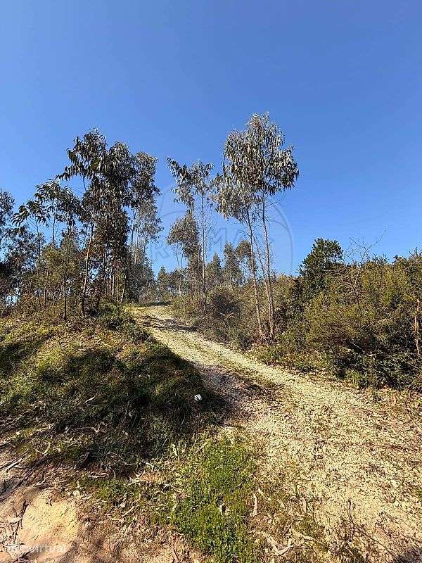 Terreno  para venda - Grande imagem: 5/8