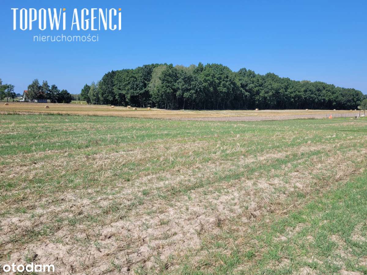 Działka nad rzeką,Park Kampinoski warunki zabudowy-13